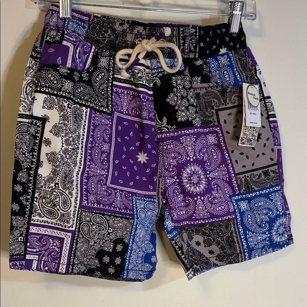 Fresh Men's Paisley Swim Shorts - Purple, Black, and Blue